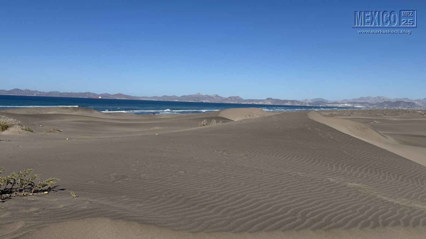 20250316-24_mexiko_baja_california_sur_mk0743