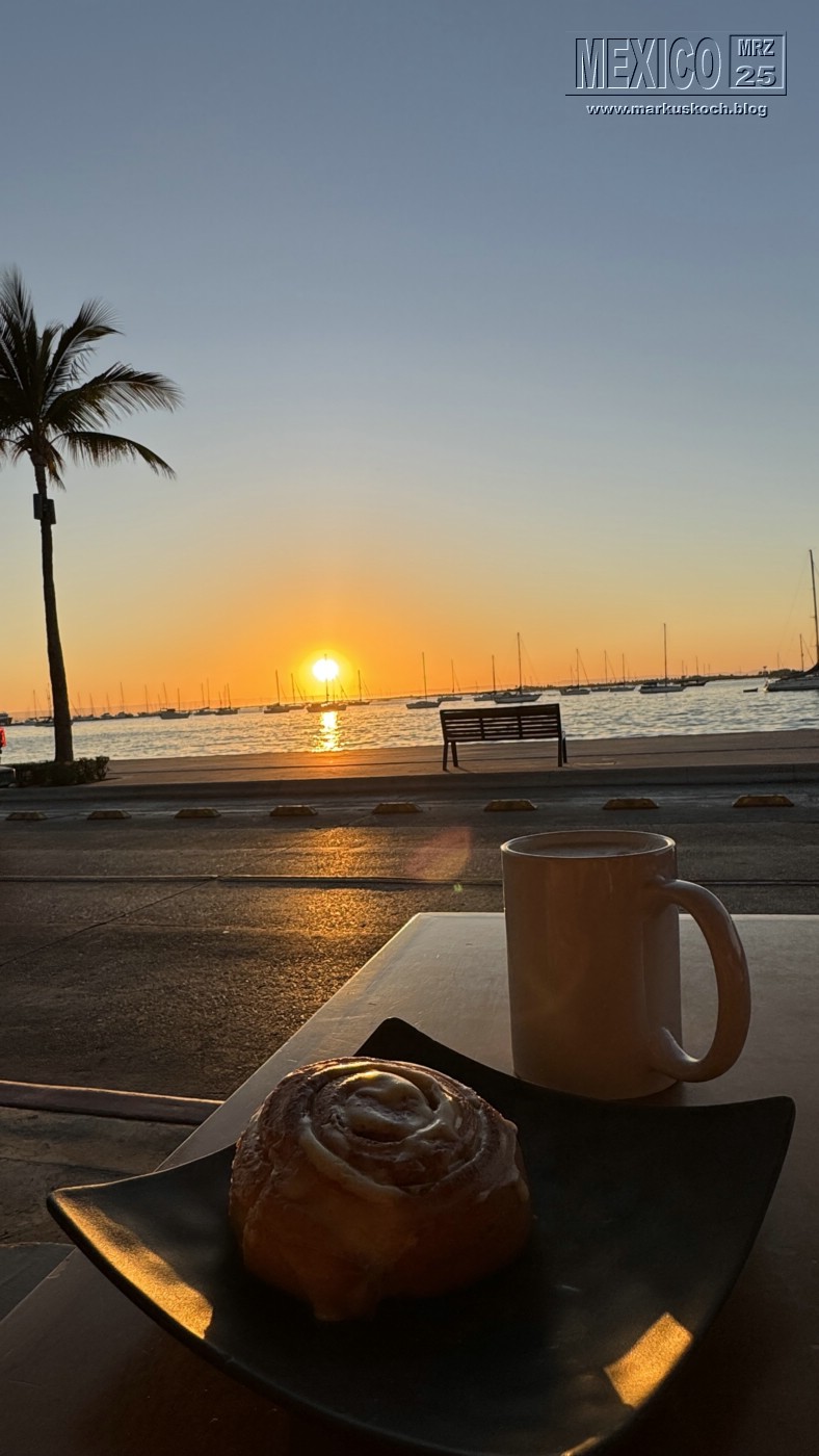 20250316-24_mexiko_baja_california_sur_mk0763