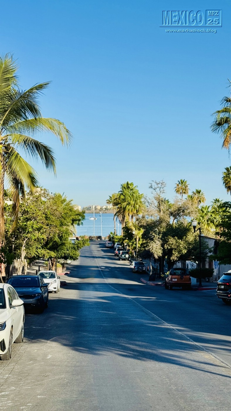 20250316-24_mexiko_baja_california_sur_mk0781