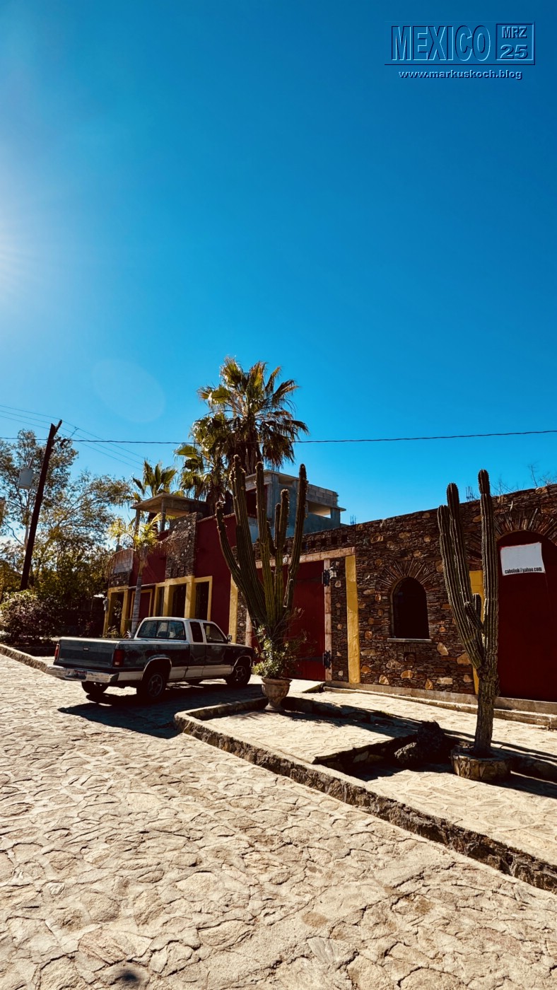 20250316-24_mexiko_baja_california_sur_mk0785