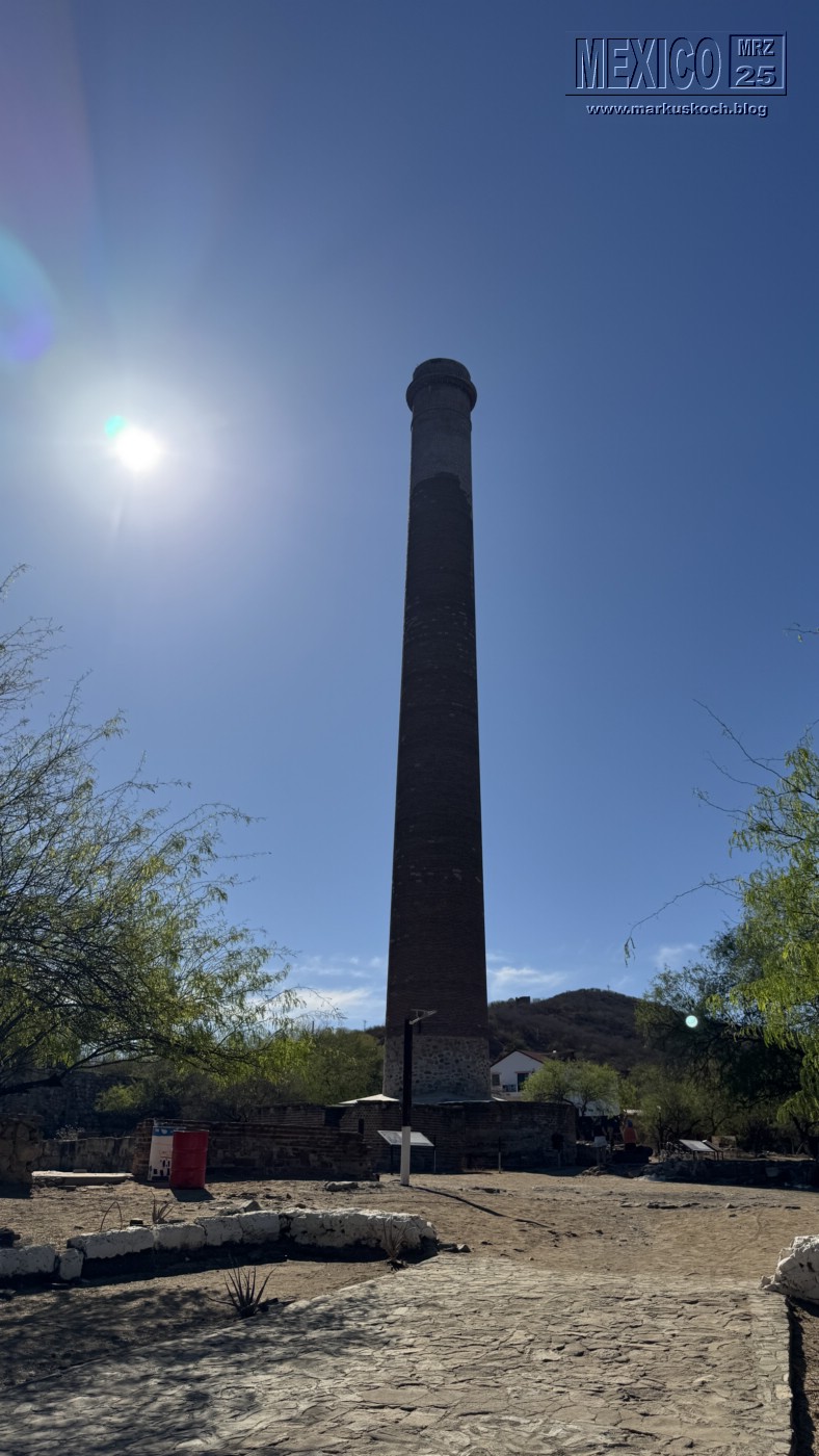 20250316-24_mexiko_baja_california_sur_mk0787