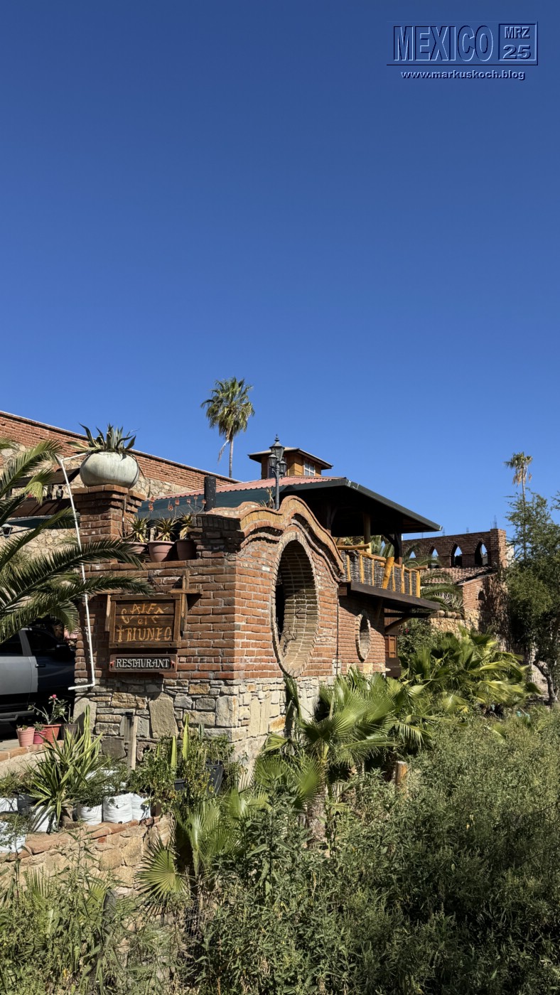 20250316-24_mexiko_baja_california_sur_mk0794