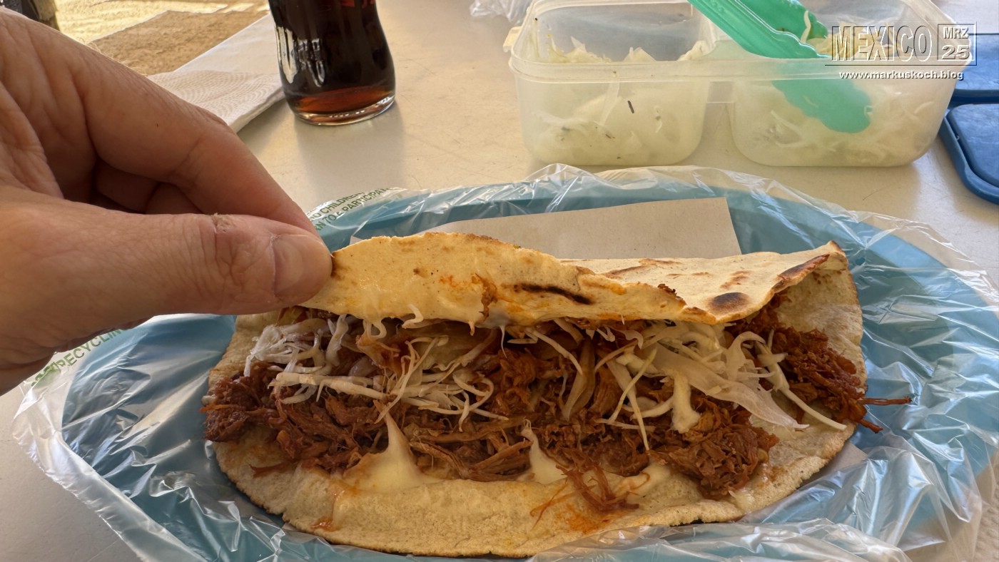 20250316-24_mexiko_baja_california_sur_mk0807