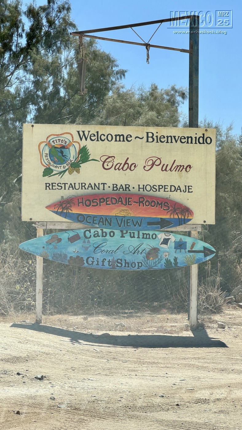20250316-24_mexiko_baja_california_sur_mk0814