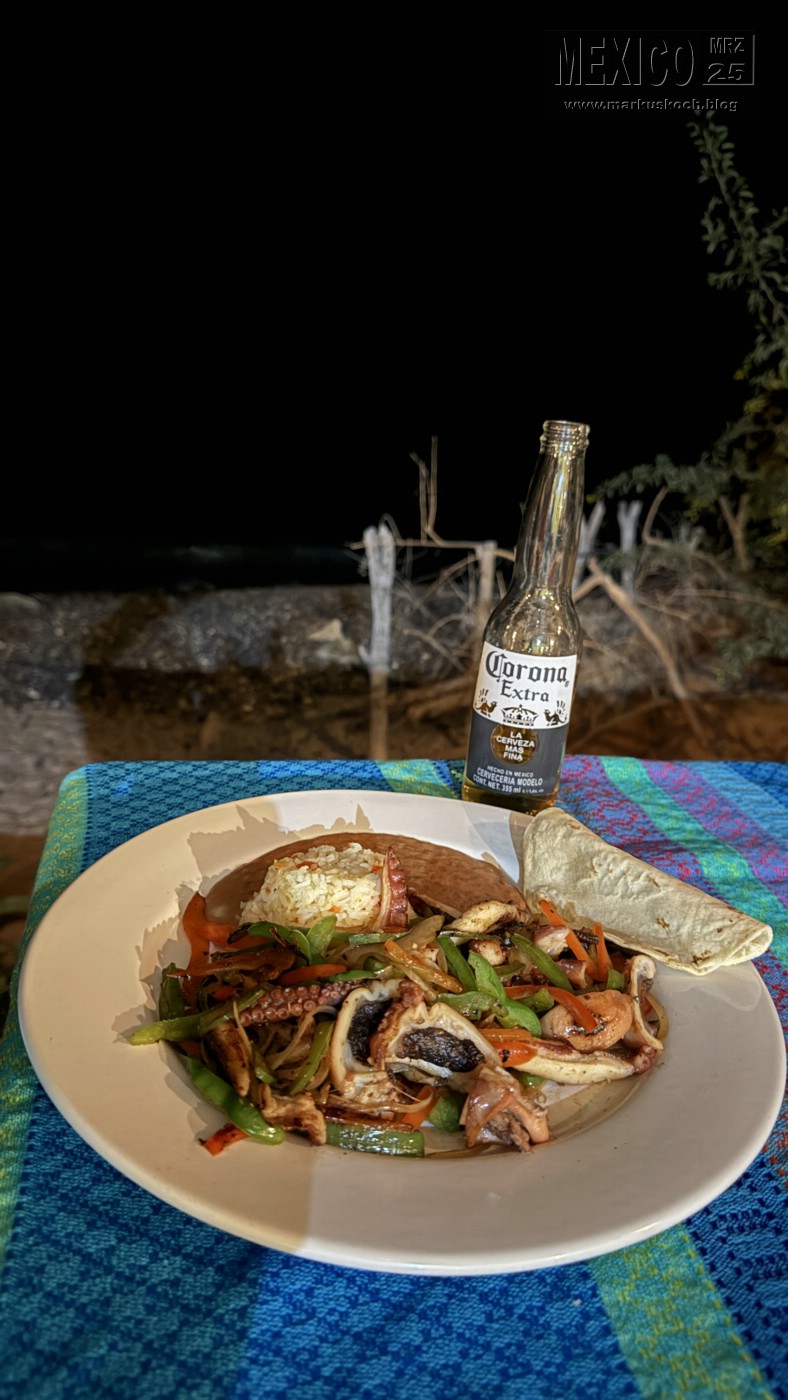 20250316-24_mexiko_baja_california_sur_mk0861