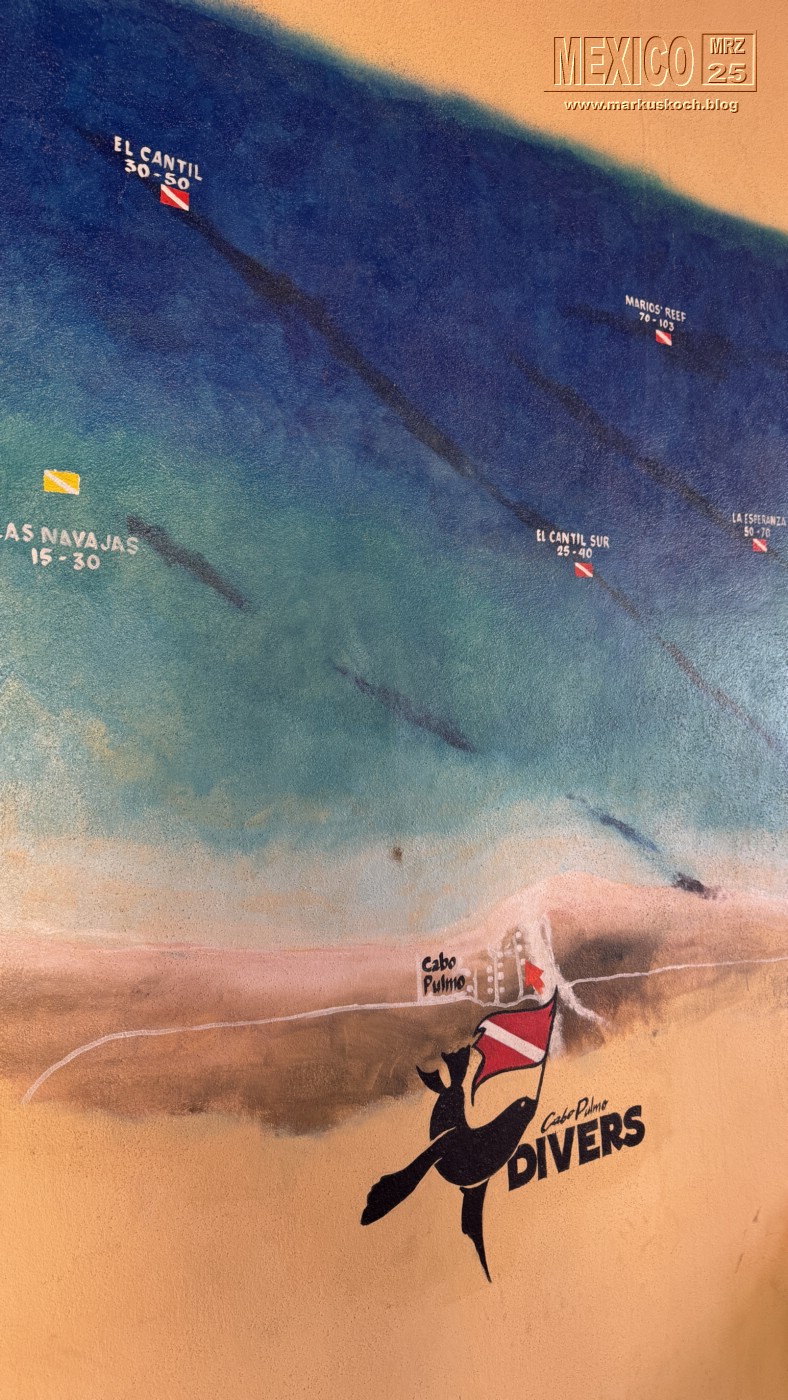 20250316-24_mexiko_baja_california_sur_mk0874