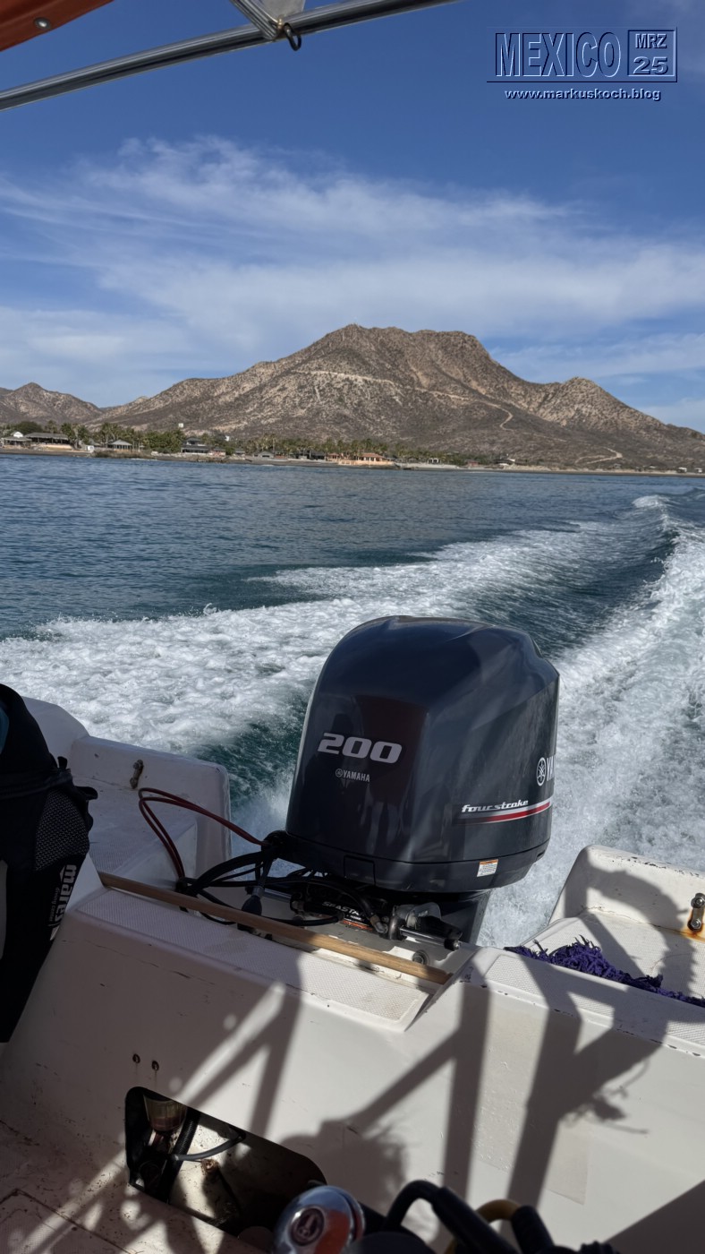 20250316-24_mexiko_baja_california_sur_mk0888