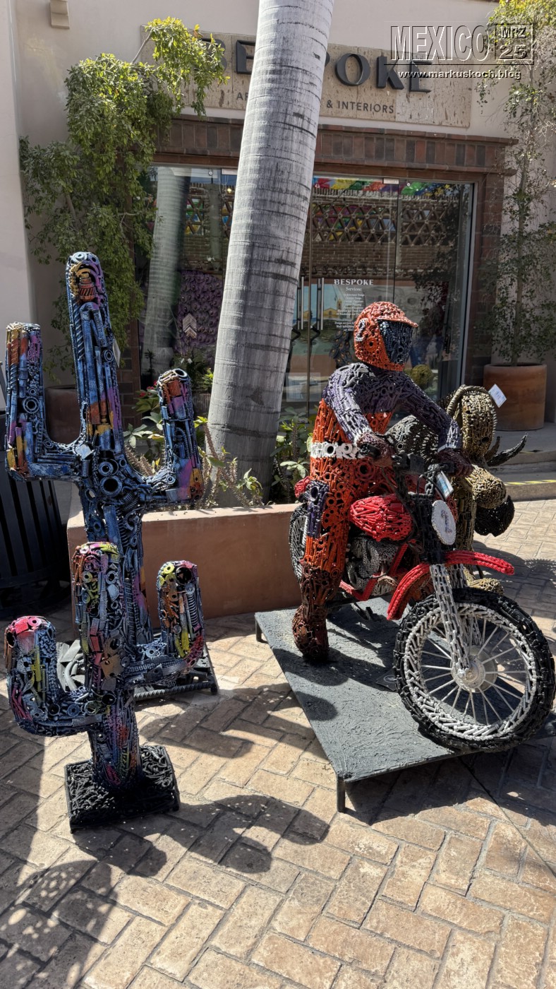 20250316-24_mexiko_baja_california_sur_mk0978