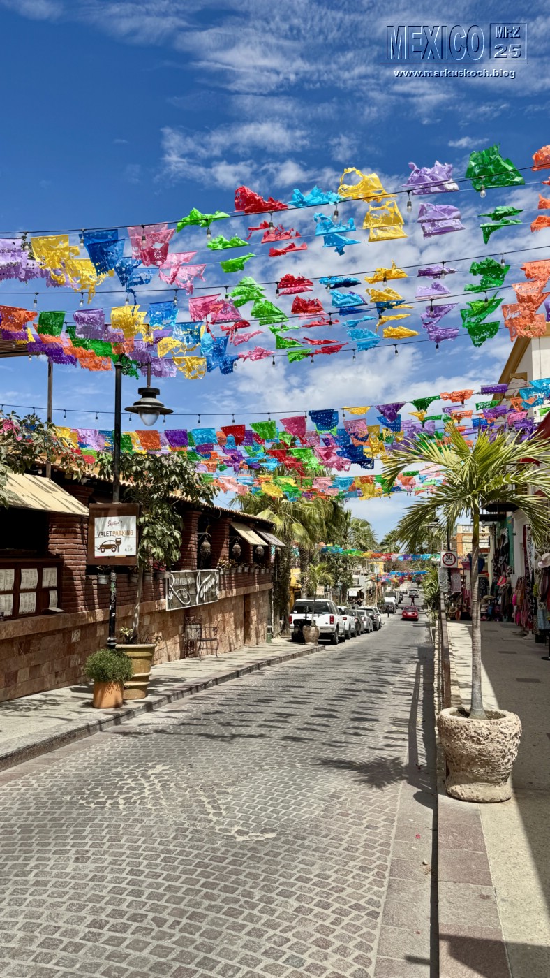 20250316-24_mexiko_baja_california_sur_mk0991