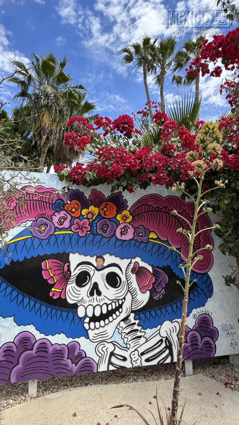 20250316-24_mexiko_baja_california_sur_mk1001