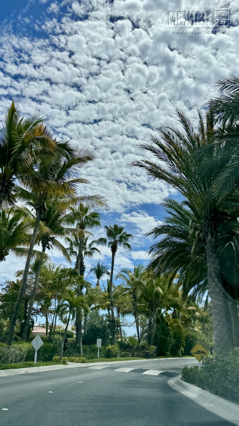 20250316-24_mexiko_baja_california_sur_mk1006